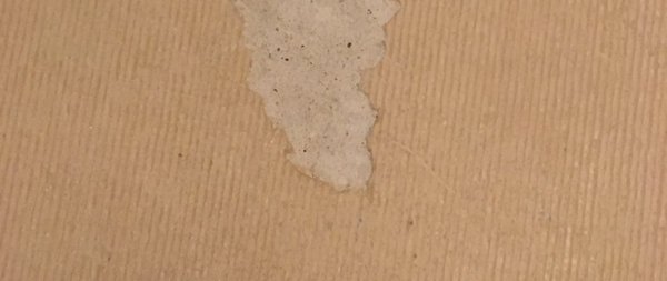 floor cover.jpg